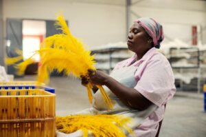 A worker from Cape Karoo International works on ostrich feathers on the production line in Oudtshoorn, South Africa, Feb. 13, 2024. (AFP Photo)
