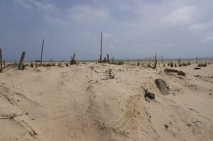 A view of a beach where bodies of migrants from capsized boats are buried in unmarked beach graves in Saint Louis, Senegal, July 15, 2023. (AP Photo)