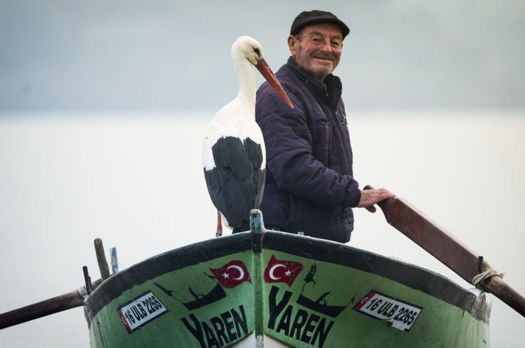 The stork Yaren sits on the boat of fisherman Adem Yılmaz, known as "Adem Uncle," in Karabacey, Bursa, northwestern Türkiye, Feb. 29, 2024. (AA Photo)