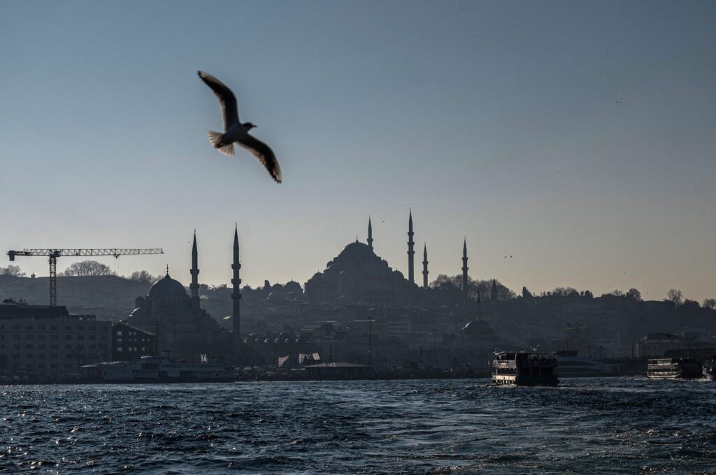 A seagull flies over the Bosporus close to the Eminönü neighborhood of Istanbul, Türkiye, Feb. 22, 2024. (AFP Photo)