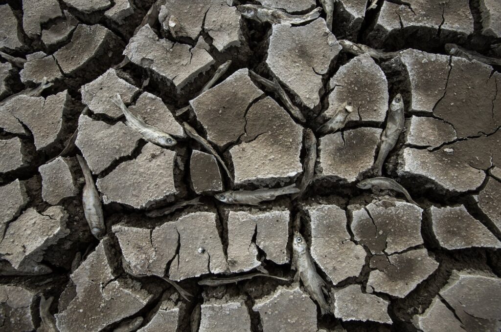 A view of the surface of the May Dam, which was hit by extreme drought in Konya, central Türkiye, March 11, 2024. (AA Photo)