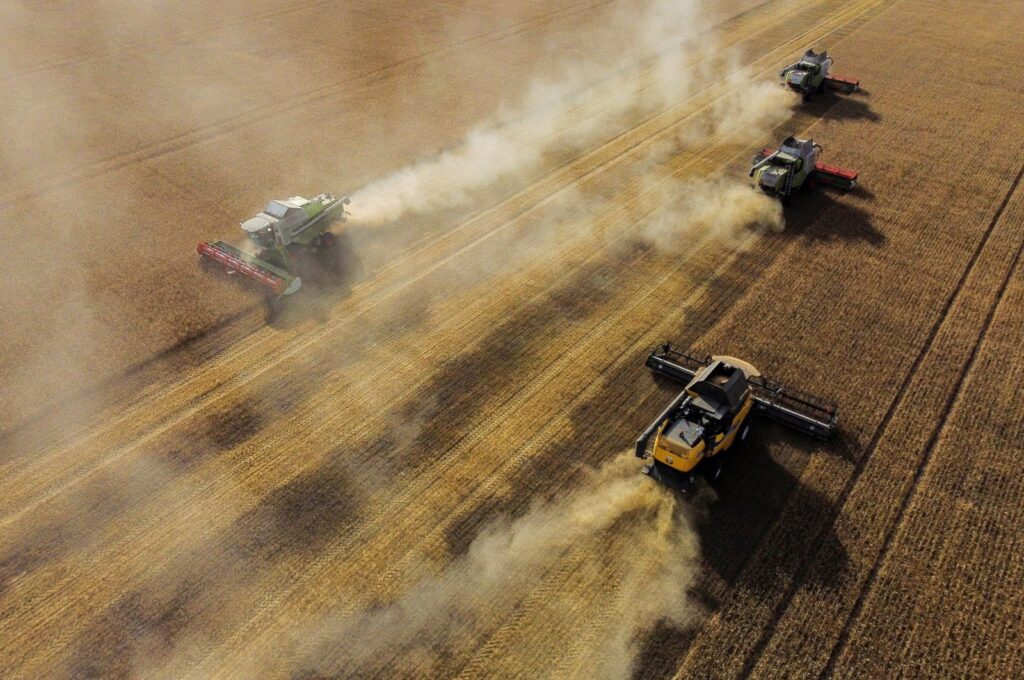 Combines harvest wheat in a field of a local agricultural enterprise in the Cherlaksky district of the Omsk region, Russia, Sept. 8, 2023. (Reuters Photo)