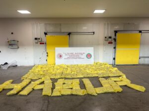 A record-breaking 850 kilograms (over 1,800 pounds) of heroin seized at the Habur Customs Gate, southeastern Türkiye, March 30, 2024. (IHA Photo)