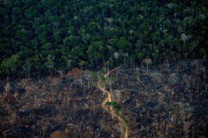 A strip of deforested area borders an untouched section of the Amazon rainforest in Labrea, Amazonas state, Brazil, Sept. 15, 2021. (AFP Photo)