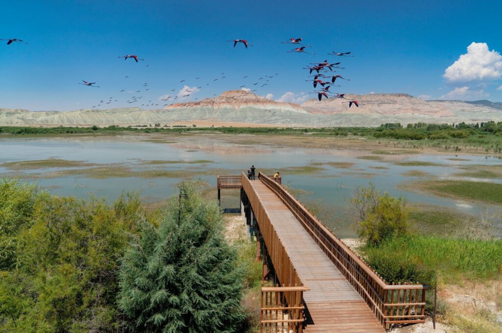 Bird Paradise (Kuşcenneti) National Park, Balıkesir province, northwestern Türkiye, Oct. 16, 2020. (AA Photo)