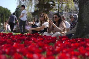 Visitors enjoy the tulips in Sultanahmet Square, Istanbul, Türkiye, May 6, 2024. (AA Photo)