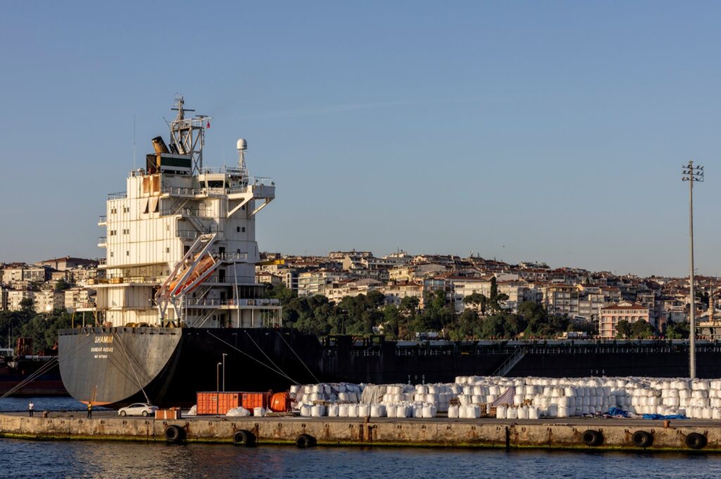 A container ship is docked at Haydarpaşa port in Istanbul, Türkiye, May 27, 2022. (Reuters Photo)