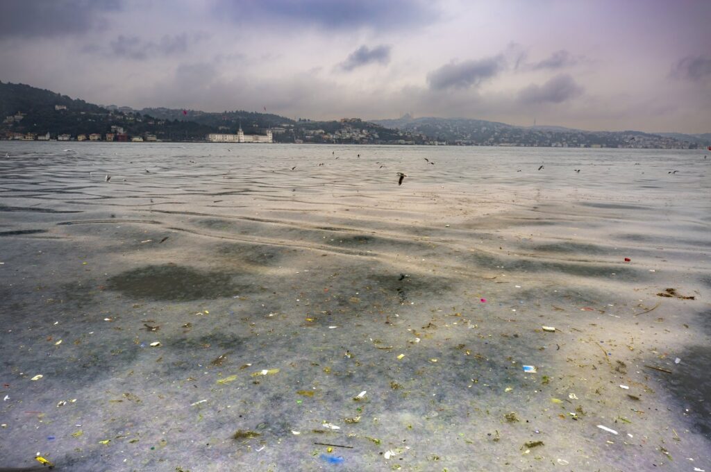 "Aqua Vitae" by Anna Annette Louise Solakoğlu. (Photo courtesy of Havre de Grace Maritime Museum)