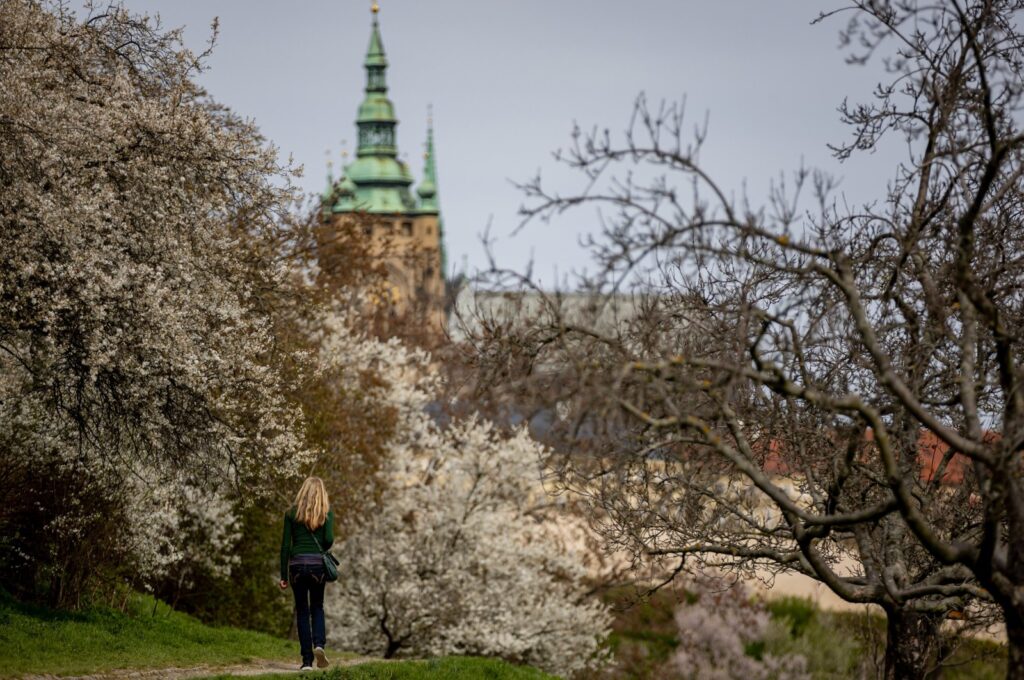 A woman walks at Petrin Hill in Prague, Czech Republic, March 27, 2024. (EPA Photo)