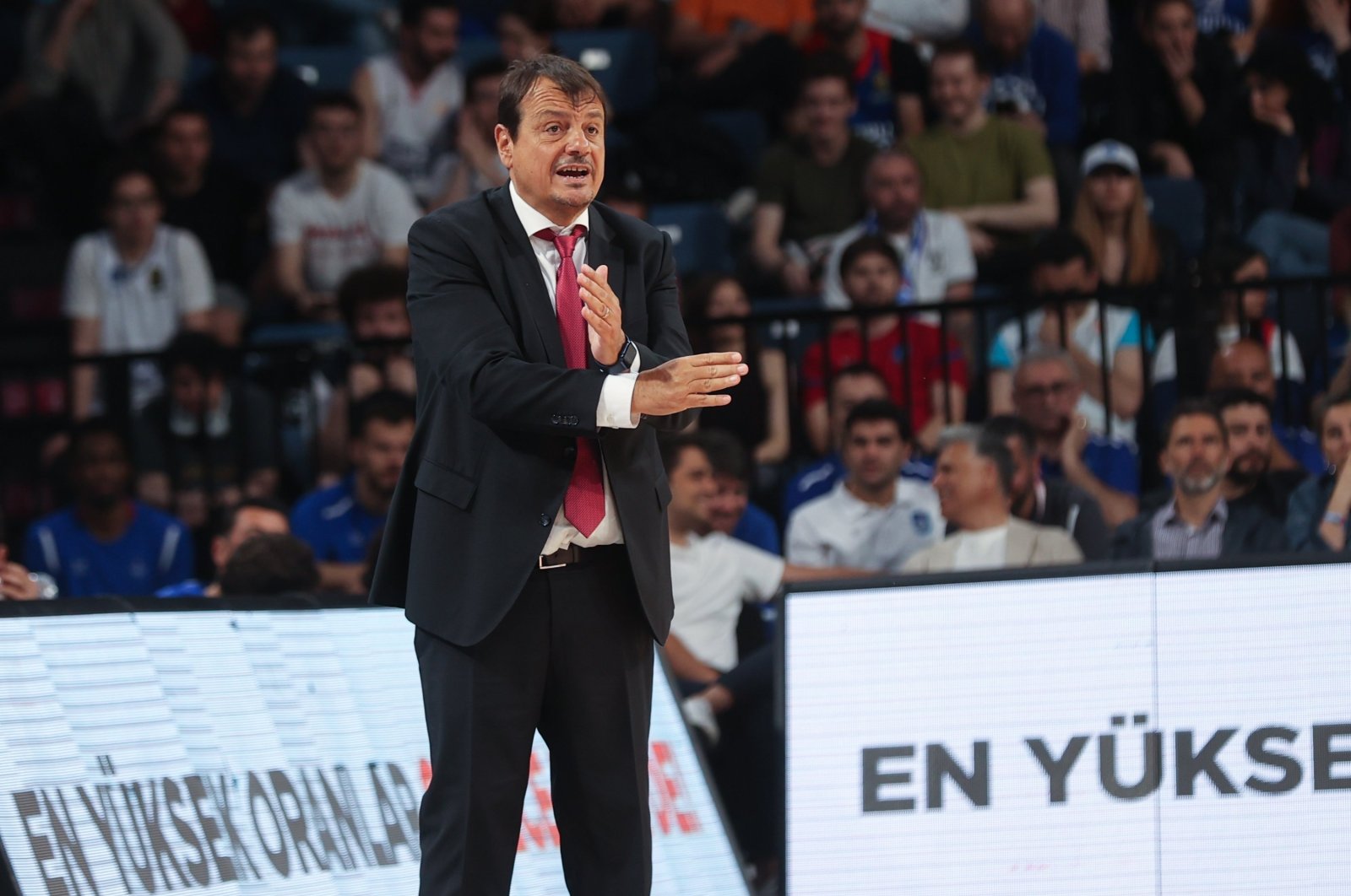 Then-Anadolu Efes head coach Ergin Ataman provides tactics to his players during a match against Pınar Karşıyaka, Istanbul, Türkiye, June 13, 2023. (AA Photo)