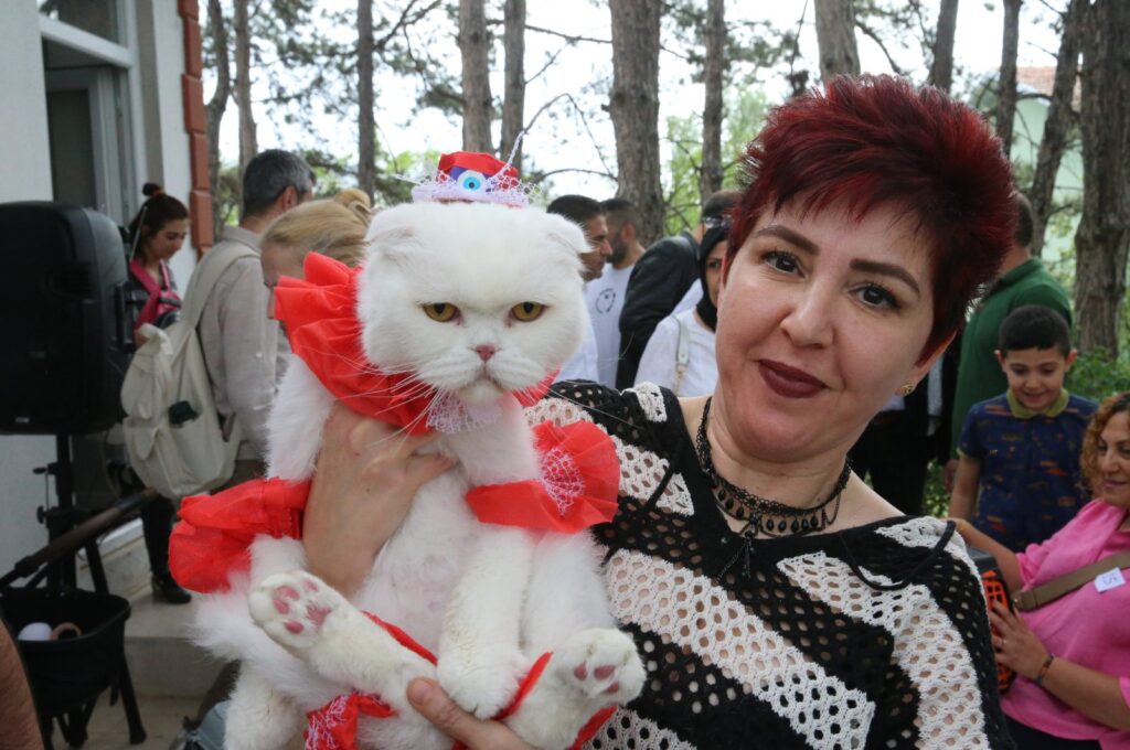 Cat beauty contest with 28 participants was held at the Tokat Veterinary Chamber's garden for World Veterinary Day, Tokat, Türkiye, April, 28, 2024. (AA Photo)