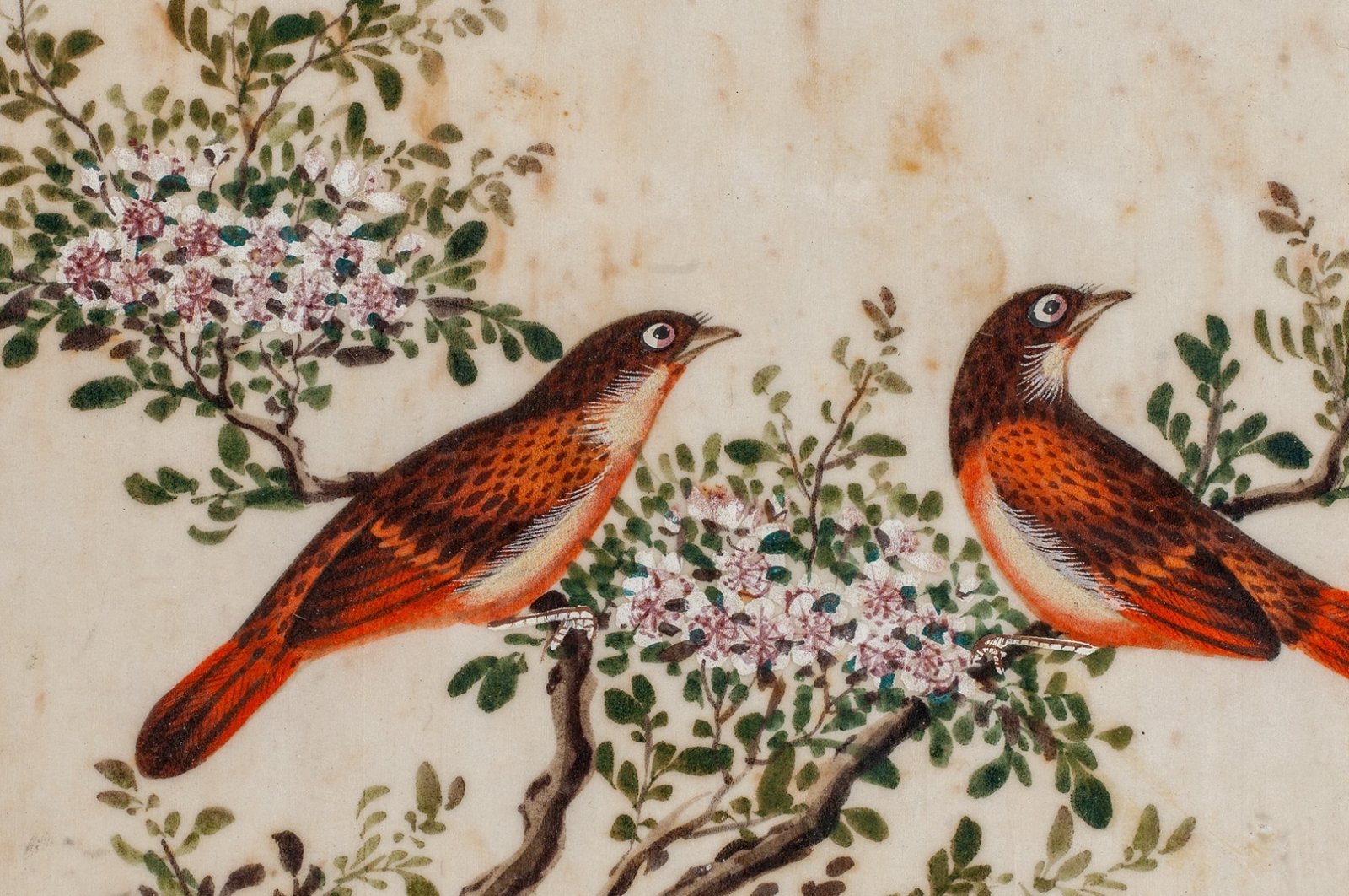 In the concert celebrating 100 years of Japanese-Turkish ties, violinist Mina Aoki-Girardelli and pianist Çağdaş Özkan will present a program where listeners will explore various aspects of the violin repertoire. (Photo courtesy of Pera Museum)