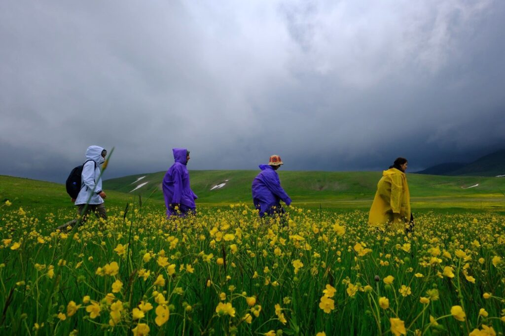 People gather on the Cami Yurdu Plateau, Gümüşhane, Türkiye, June 10, 2024. (IHA Photos)