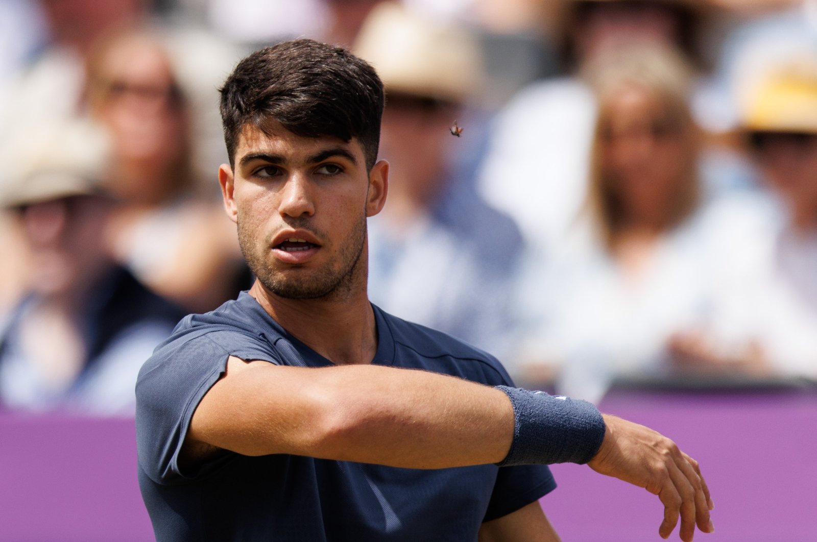 Spain's Carlos Alcaraz is interrupted by an insect during his second round match against Britain's Jack Draper at the Queen's Club tournament, London, U.K., June 20, 2024. (EPA Photo)