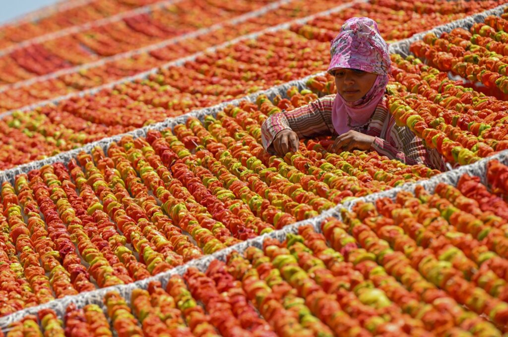 A young girl organizes peppers hung up to dry, Gaziantep, Türkiye, July 10, 2024. (AA Photo)