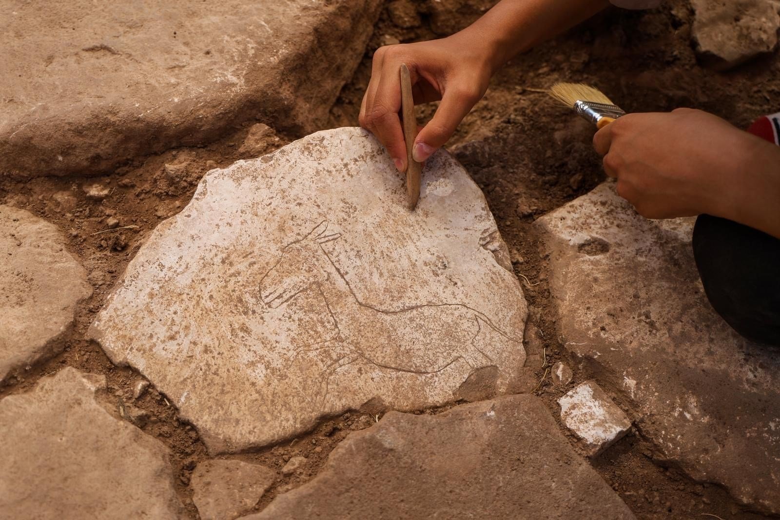 An expert examines a major discovery made at Karahantepe, one of the most significant Neolithic settlements, a depiction of a running wild donkey found on the floor of a hut, Şanlıurfa, Türkiye, Aug. 29, 2024. (DHA Photo)