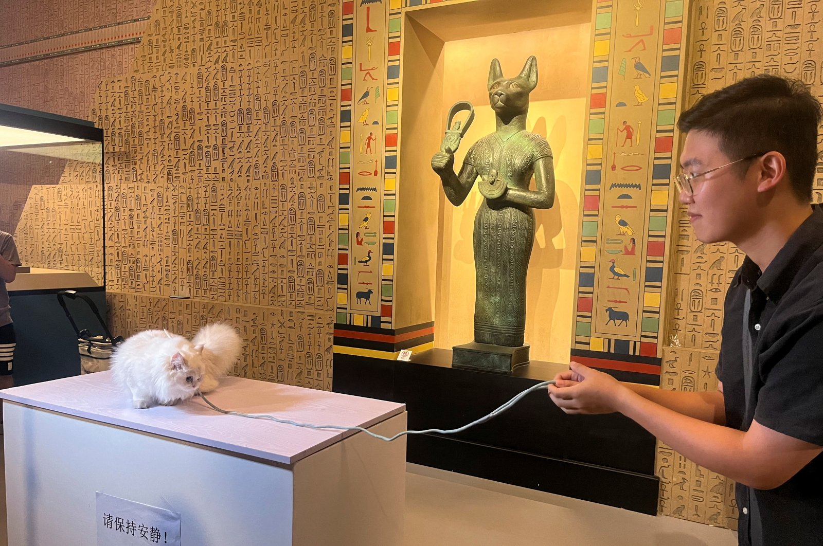 A cat owner helps a cat visitor pose for a photo in front of a statue depicting the cat goddess Bastet during Shanghai Museum's "Meow Night," Shanghai, China, Aug. 31, 2024. (Reuters Photo)