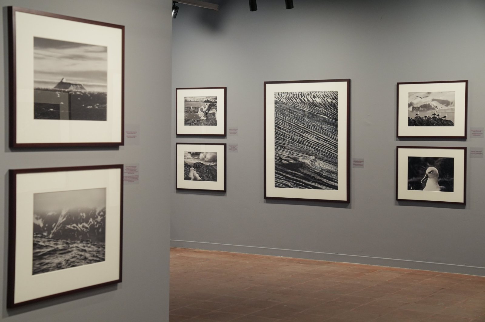 Sebastiao Salgado's exhibition titled "Genesis" is being held at MSGSÜ Tophane-i Amire, Istanbul, Türkiye, Sept. 28, 2024. (AA Photo)