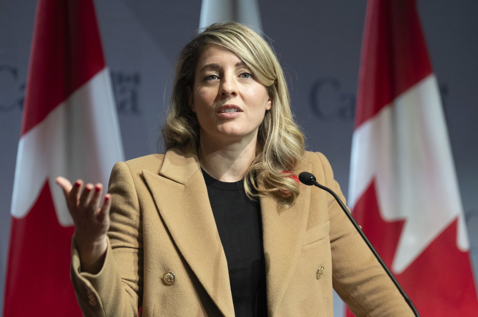 Canada's Foreign Minister Melanie Joly responds to a question during a news conference in Ottawa, Canada, Nov. 1, 2024. (AP Photo)