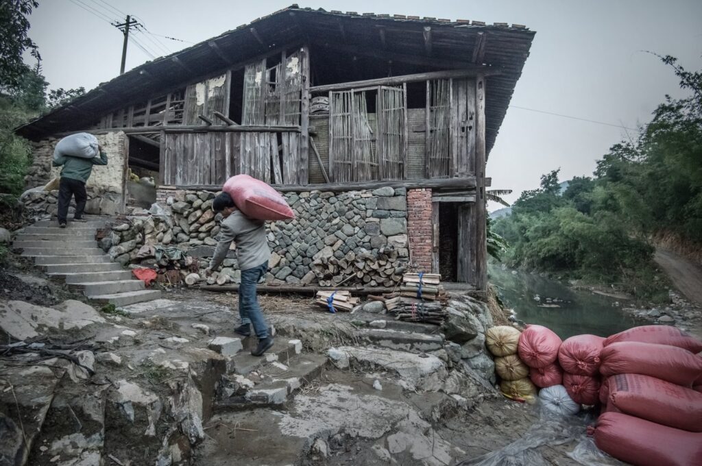 Changshun oil mill, located in Sanxi township, Minqing County in East China's Fujian province, known as the "hometown of camellia oil," has a history of about 100 years of making tea oil from camellias seeds, Jan. 17, 2016. (Reuters File Photo)