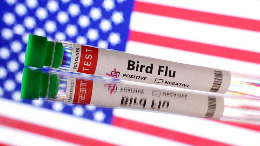 Test tube is seen labeled "Bird Flu" in front of the U.S. flag in this illustration taken, June 10, 2024. (Reuters Photo)