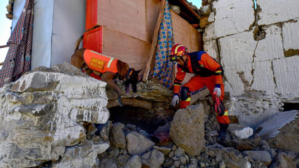 A rescuer searches a house for survivors with a rescue dog after an earthquake at Cuoguo township in Tibet's Shigatse, southwestern China, Jan. 8, 2025. (AFP Photo)