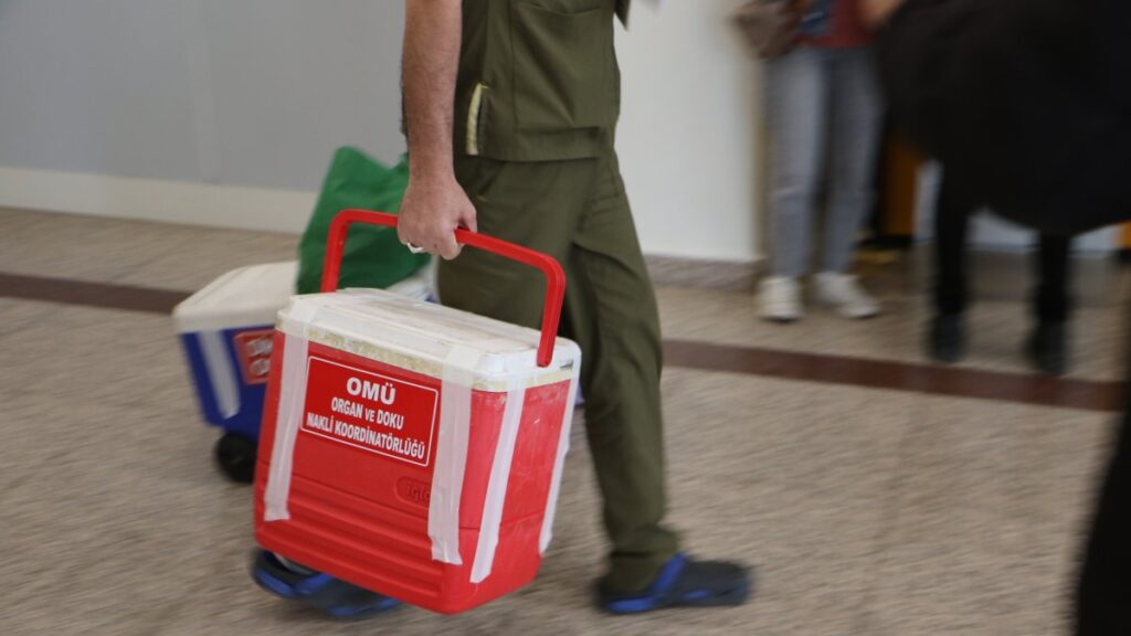 A nurse carrying an organ donation box at Samsun Ondokuz Mayıs University (OMÜ) Medical Faculty Hospital, Samsun, Türkiye, Jan. 24, 2024. (DHA Photo)