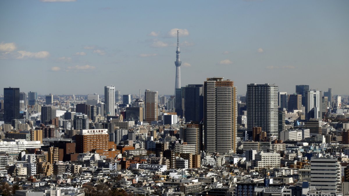 Office and residence buildings are pictured from an observatory deck at the Shinjuku business district, Tokyo, Japan, Feb. 10, 2025. (EPA Photo)