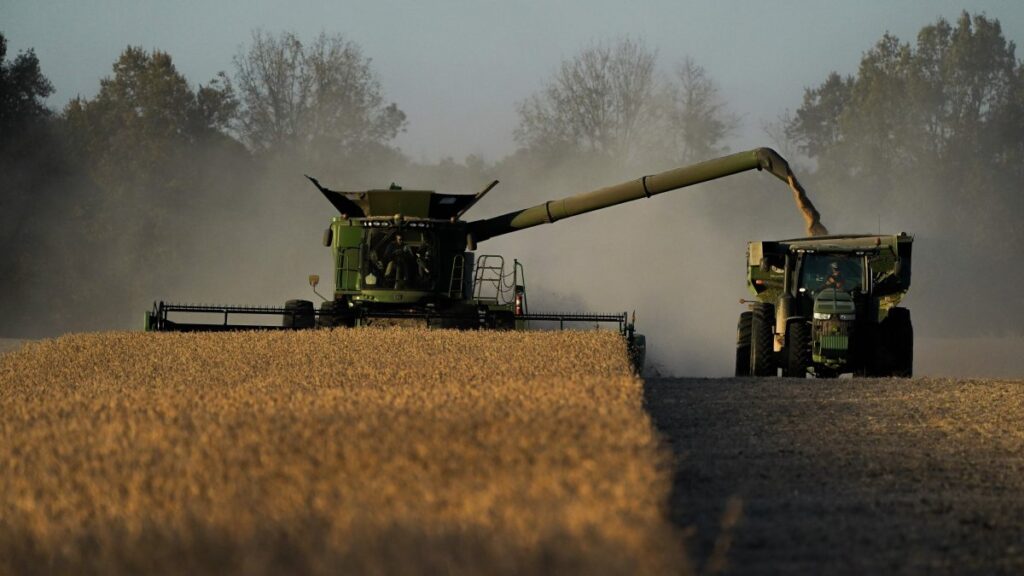 A combine is shown harvesting soybeans in Lynnville, Kentucky, U.S., Nov. 8, 2023. (AP photo)