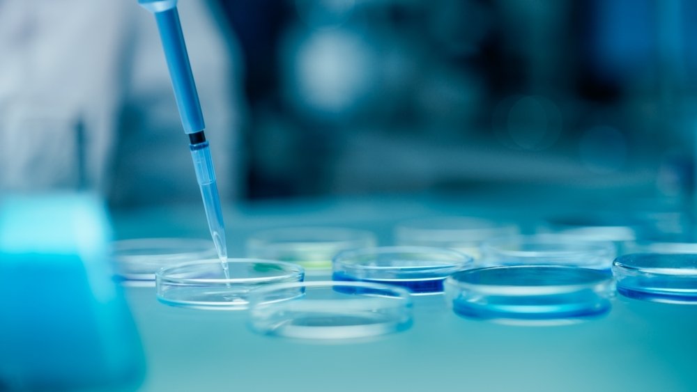 A DNA test reveals that the man Berrin Nalcı believed to be her father is not her biological parent. (Shutterstock Photo)