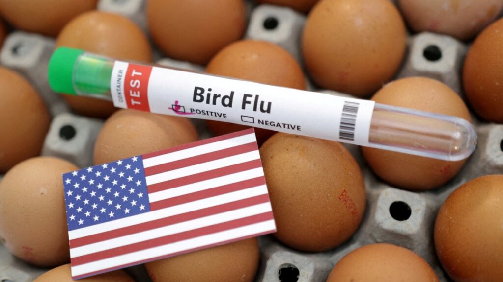 A test tube labeled "Bird Flu," eggs and a piece of paper in the colors of the U.S. national flag are seen in this picture illustration from Jan. 14, 2023. (Reuters Photo)