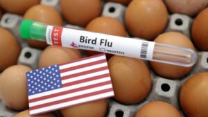 A test tube labeled "Bird Flu," eggs and a piece of paper in the colors of the U.S. national flag are seen in this picture illustration from Jan. 14, 2023. (Reuters Photo)