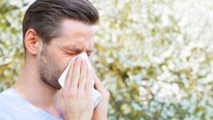 A man sneezes while walking through a pollen-filled park in spring. (Shutterstock Photo)