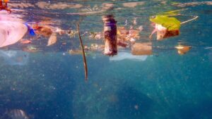 Polluted lake water containing visible microplastic fragments and fibers. (Shutterstock Photo)