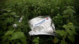 Debris from a Malaysian Airlines Boeing 777 lies on the ground near the village of Rozsypne in the Donetsk region, Ukraine, July 18, 2014. (Reuters Photo)