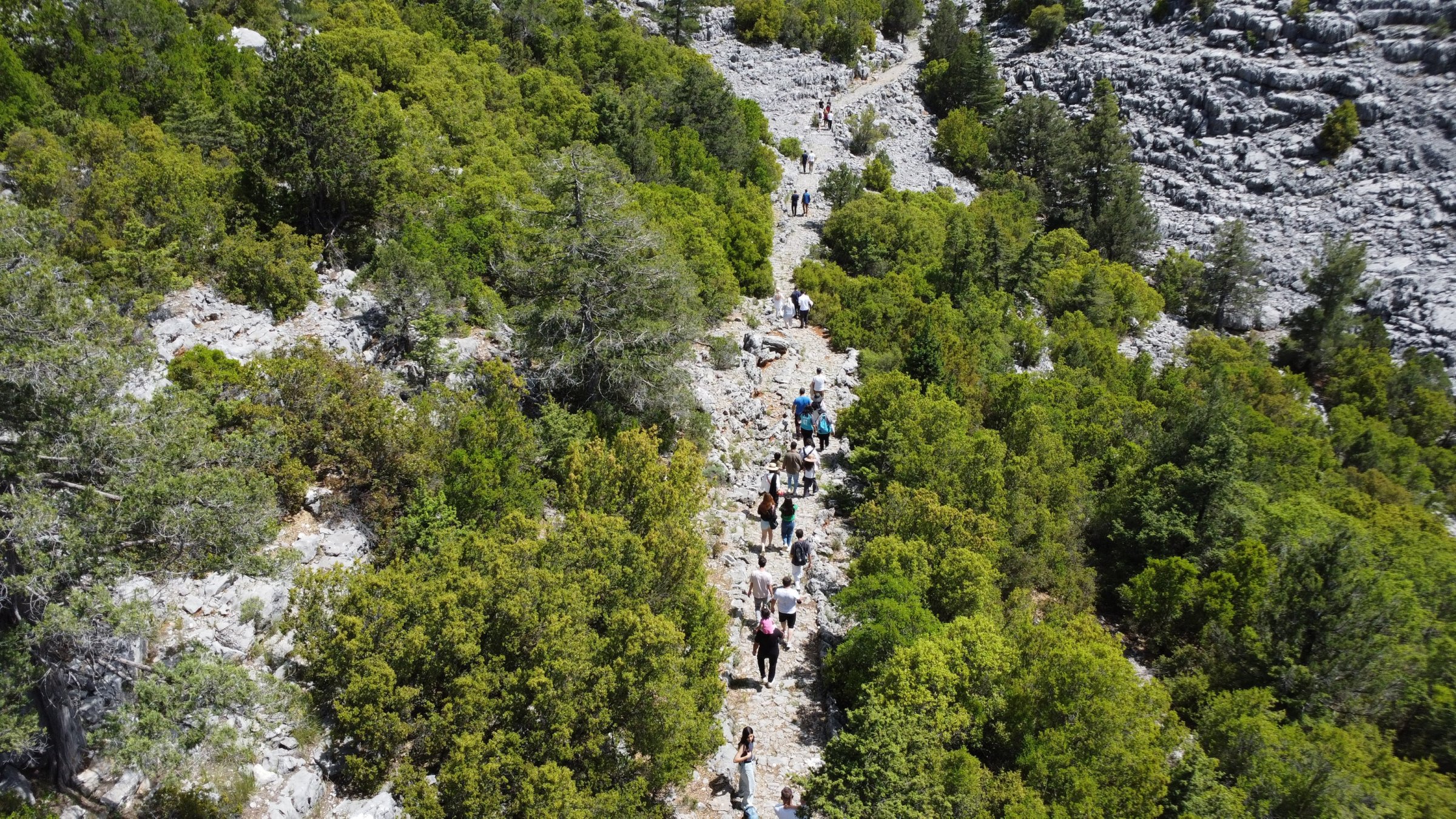 Hikers explore the restored ancient caravan and migration route winding through the natural landscape of Akseki district, Antalya, Türkiye, May 28, 2025. (AA Photo)