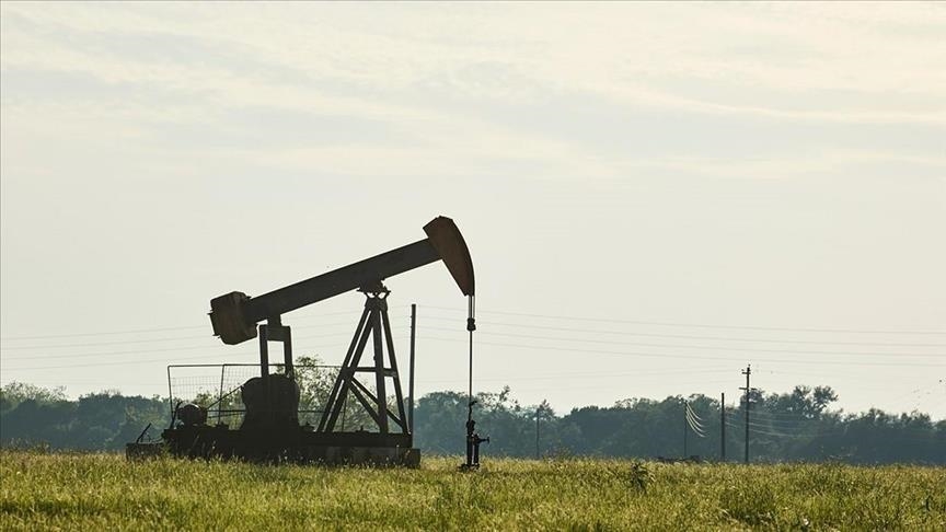 Oil prices in decline due to global demand uncertainty