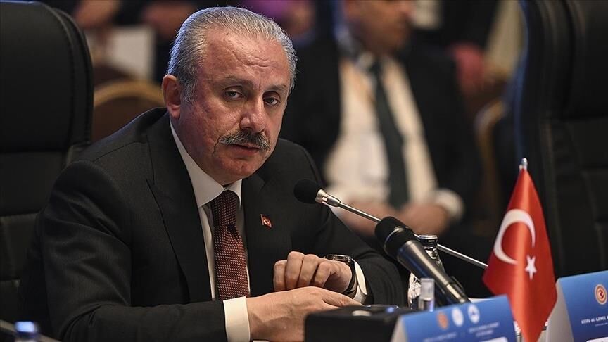 Turkish parliament speaker calls for cease-fire between Russia, Ukraine