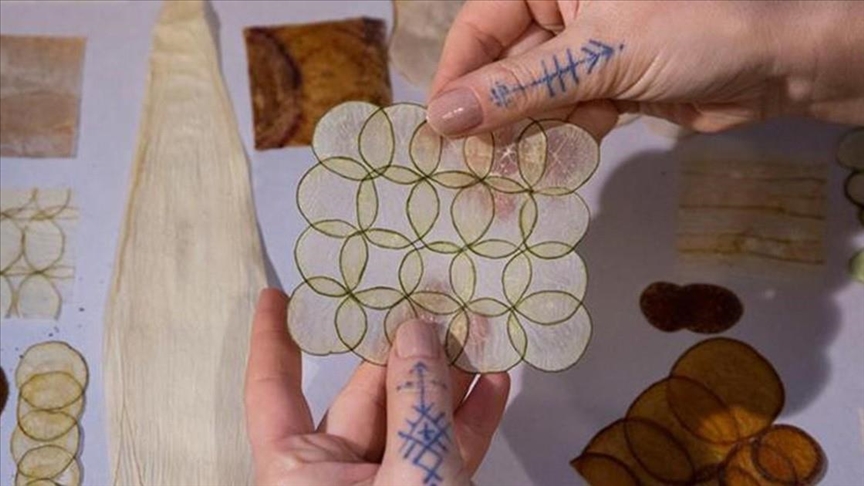Turkish artist turns organic materials into works of art