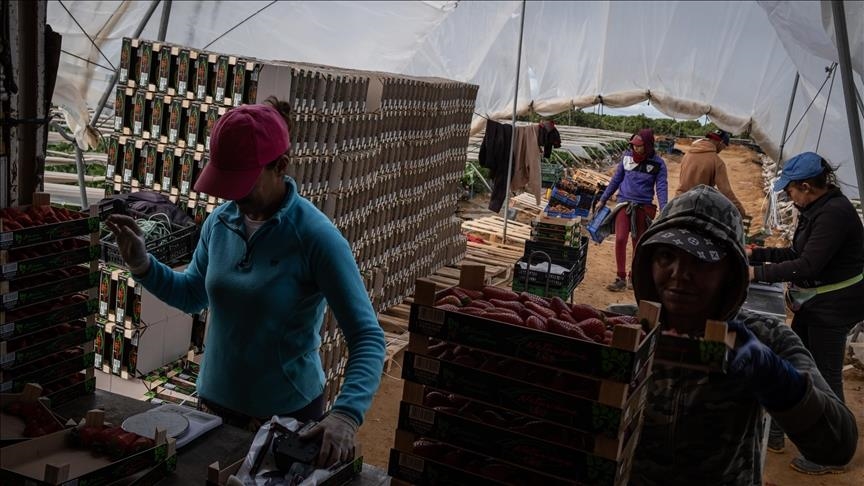 Modern slavery on the rise amid ‘unfit’ Western laws: Expert