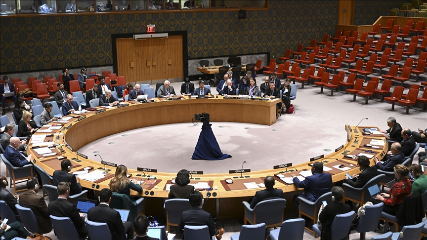 India calls for reforms in UN Security Council