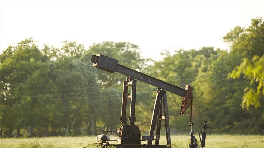 Oil up with fuel demand increase in US