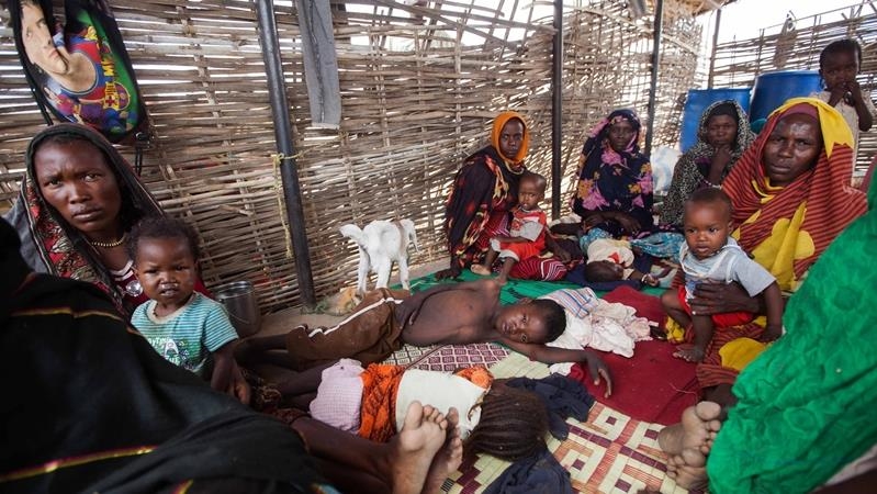 At least 20,000 people took refuge in eastern Chad since clashes erupted in Sudan: IOM