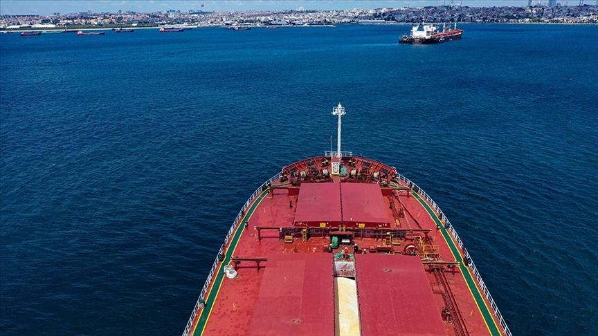 Food exports through Black Sea grain deal dropped significantly: UN