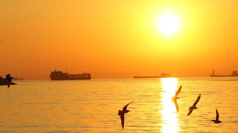 Turkish scientist warns of rising global temperatures, climate risks in next 5 years