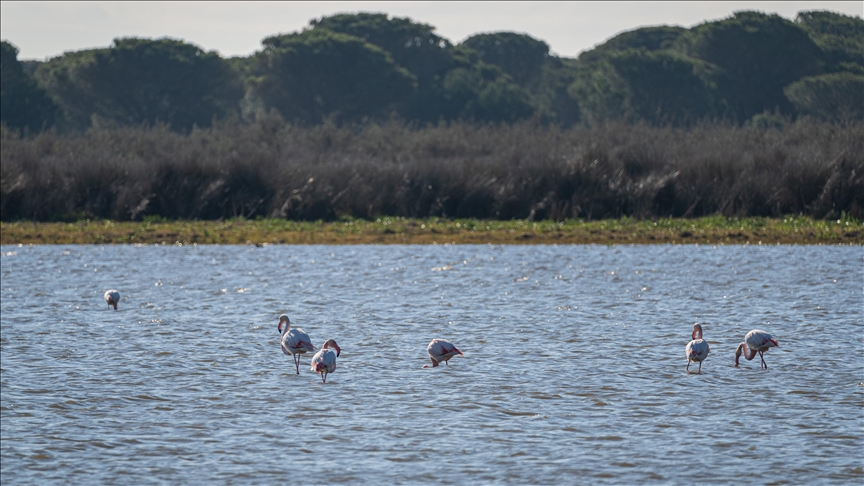 Brussels warns Spain it will do 'everything possible' to protect threatened wetlands