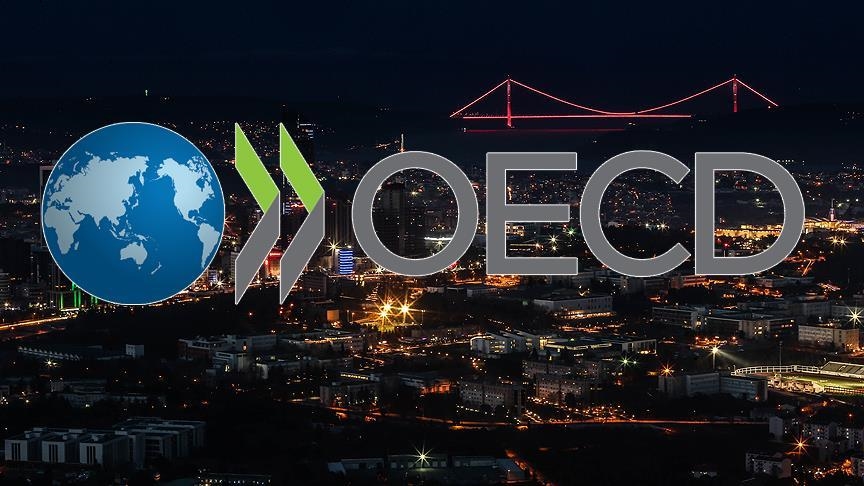 Ukrainian official meets with working group on Kyiv’s accession to OECD