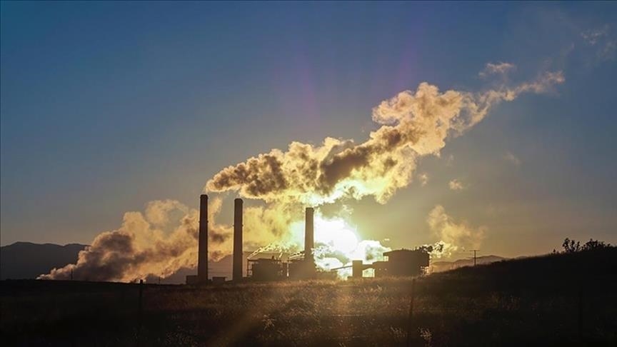 Subsidies for fossil fuels can be used to finance climate action: World Bank