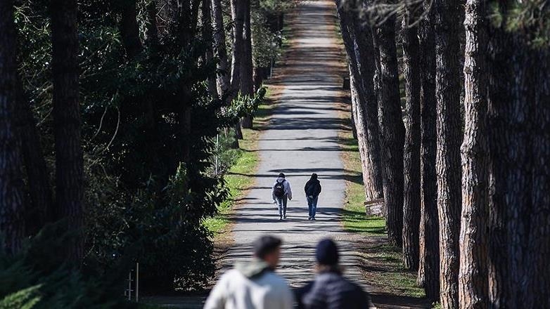 Türkiye maps northwestern forest migration amid climate change