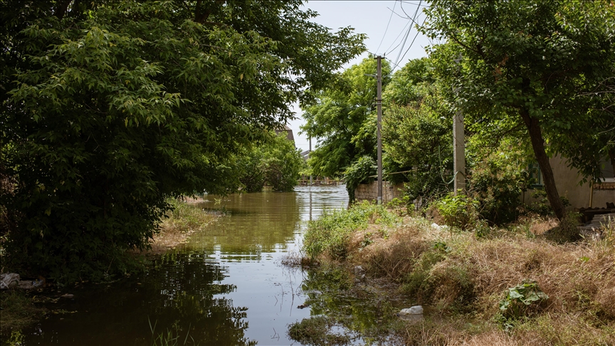 Ukraine's Kakhovka dam burst caused widespread devastation, human suffering: WHO